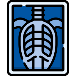 X ray icon