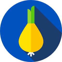 tulpe icon