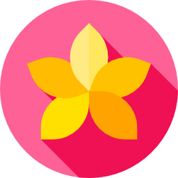 Orchid icon