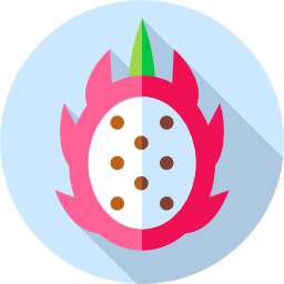 drachenfrucht icon