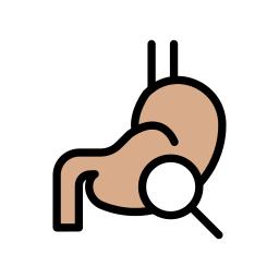 médico icono