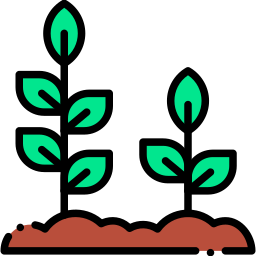 Sprout icon