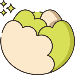 Cabbage icon