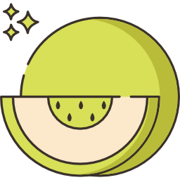melone icon