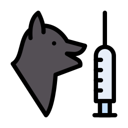 Syringe icon