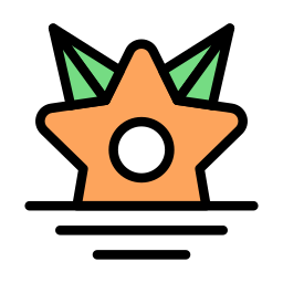 Star icon