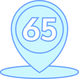 65 icono