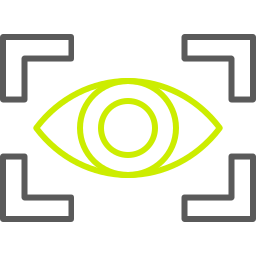 Vision icon