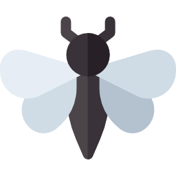 Moth icon