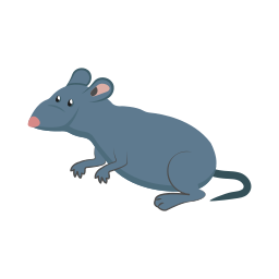 ratón icono