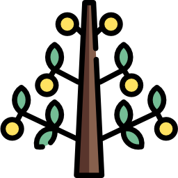 Money tree icon