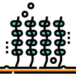 Морские водоросли иконка