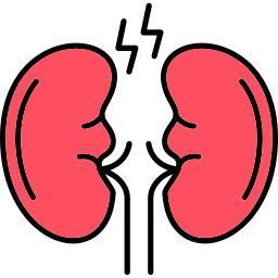 Kidney icon