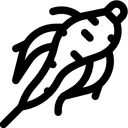 인삼 icon