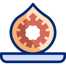 Fig icon