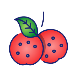 Fruits icon