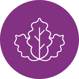 Cabbage icon