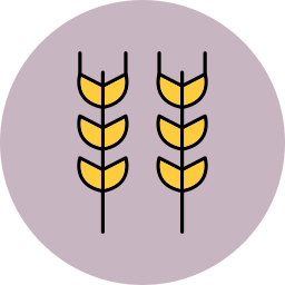 Wheat icon