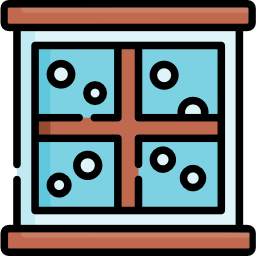 Window icon