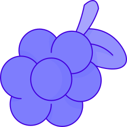 Fruit icon