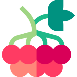 Viburnum icon