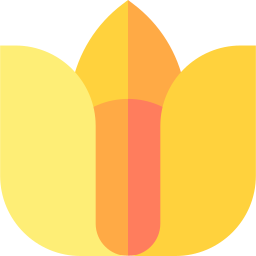 Cape gooseberry icon