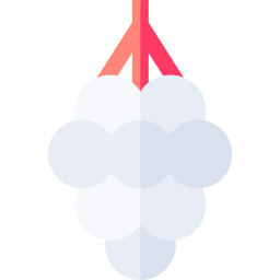 baneberry icon