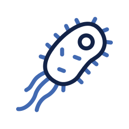 Bacterium icon