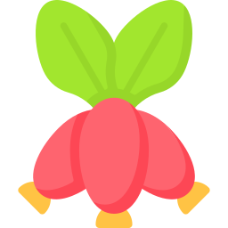 매자나무 icon