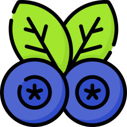 블루베리 icon