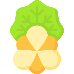 Cloudberry icon