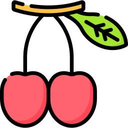 Goumi berry icon