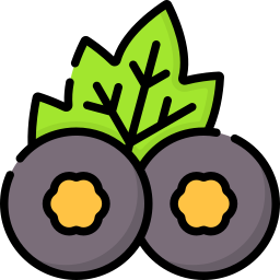 Maqui berry icon