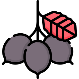 Nannyberry icon