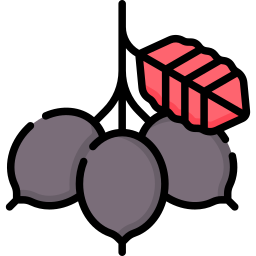 nannyberry icon