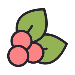 Fruit icon