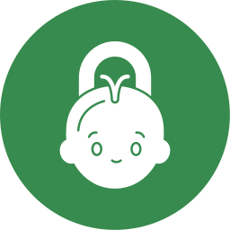 Lock icon