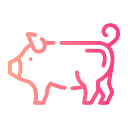 Pig icon