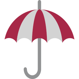 Finance insurance icon