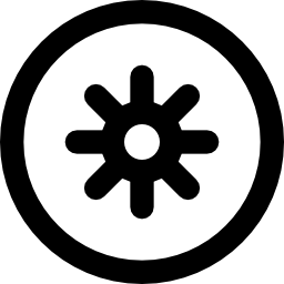kiwi Ícone