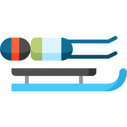 Luge icon