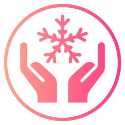 winter icon