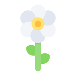 gänseblümchen icon