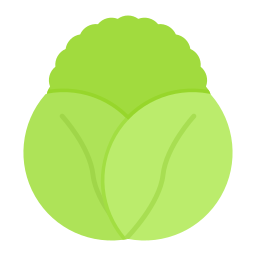 kopfsalat icon