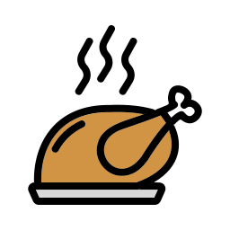 Turkey icon