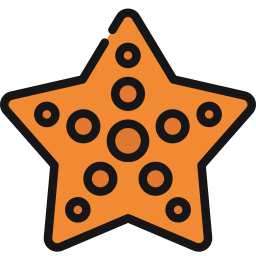 Star fish icon