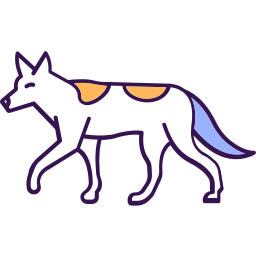 Canis aureus icon