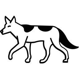 canis aureus icon