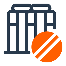 Wicket removal icon