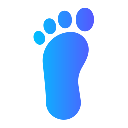 Footprints icon